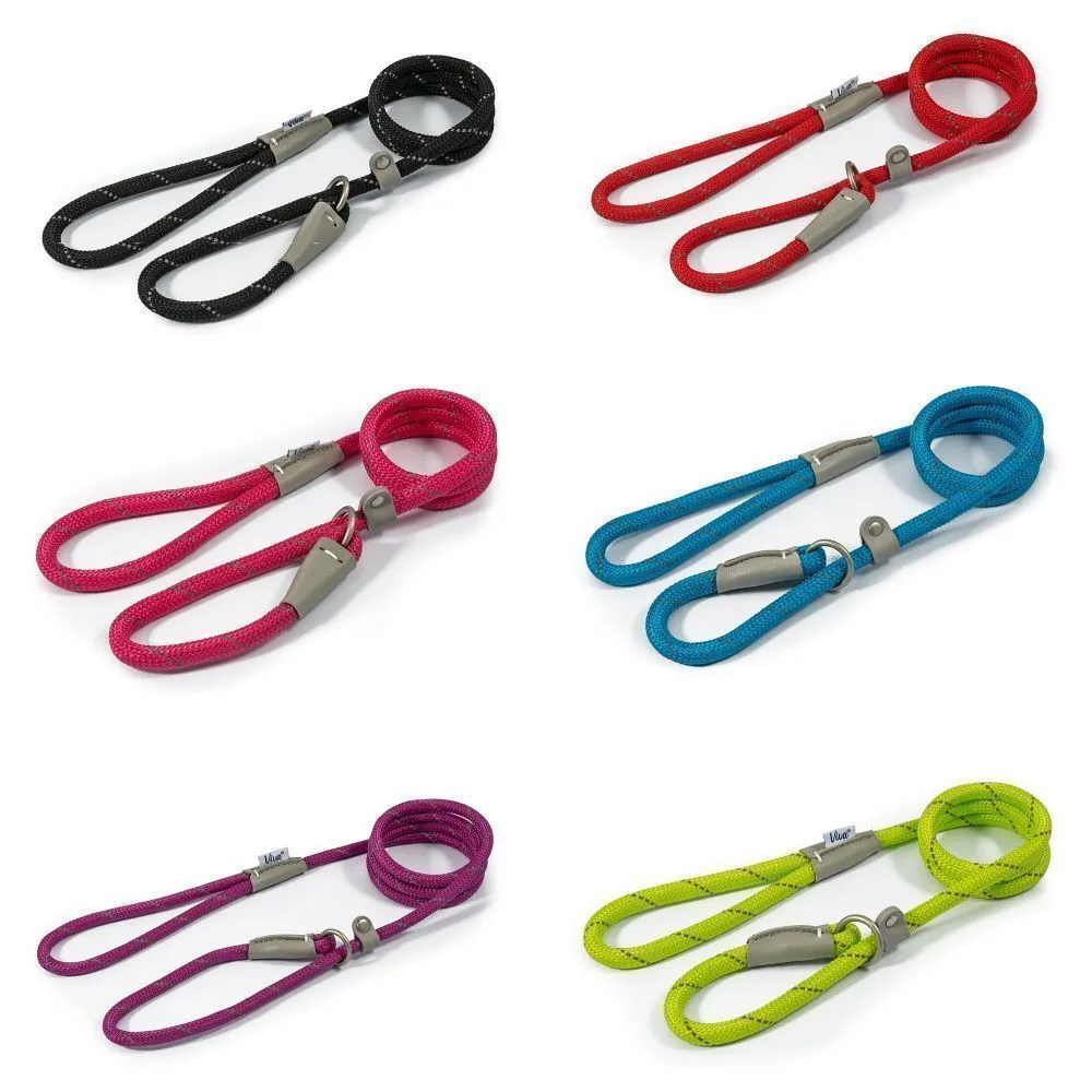 Ancol Viva Lime Poly-Weave Rope Slip Dog Lead