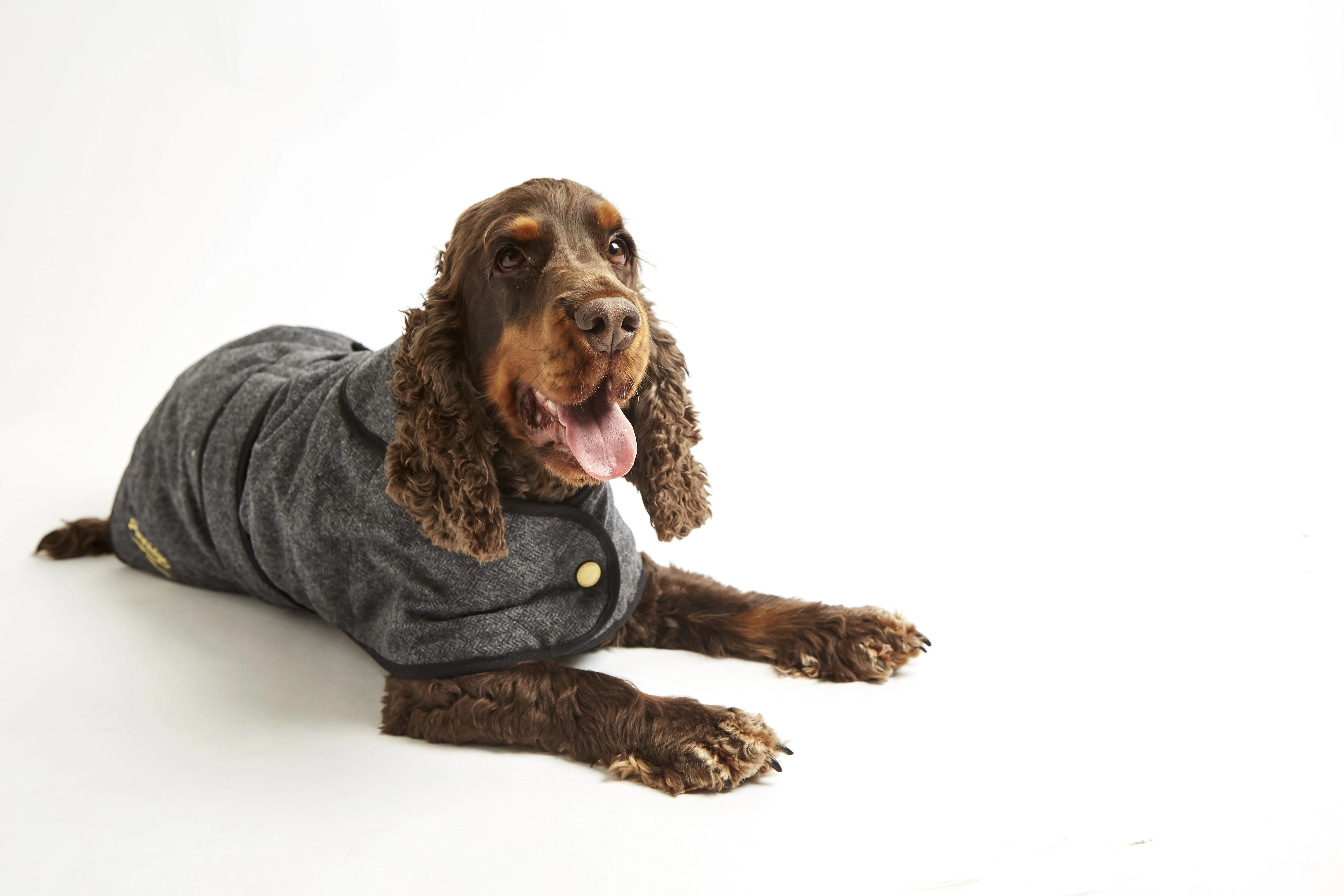 Dog Coat - Grey Herringbone Tweed