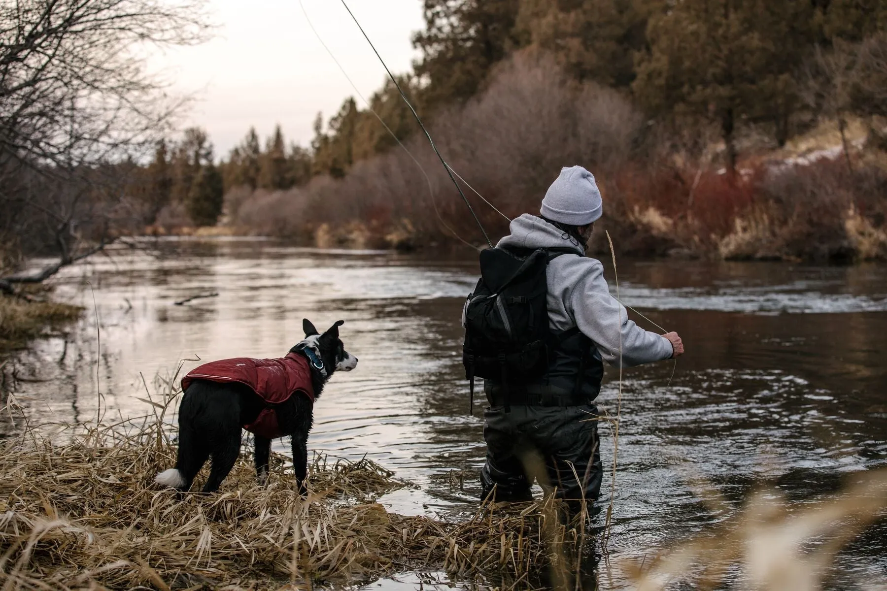 Ruffwear Quinzee Coat - Gray XXSmall (Customer Return)